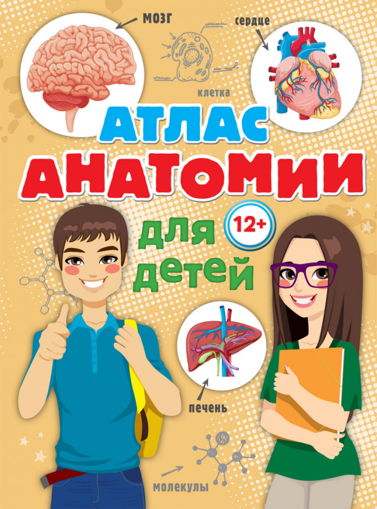 Атлас анатомии для детей | Атлас человека: профессионально-популярное издание
