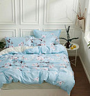 Комплект постельного белья (арт. TPIG6-658 код.1038, евро, твил, 2 наволочки 70х70, 2 наволочки 50х70)