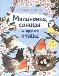 Малиновки, синицы и другие птицы