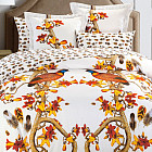 Комплект постельного белья «Pheasant» (арт. 5559/4, евро, сатин, 2 наволочки 50х70 и 2 наволочки 70х70)