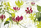 Фотообои «Gloriosa» (368 х 254 см)