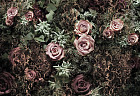 Фотообои «Velvet» (368 х 254 см)