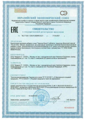 Бад для защиты зрения в условиях повышенной зрительной нагрузки «Черника форте» - Фото 6