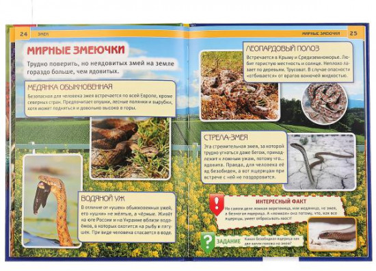 Змеи. Энциклопедия
