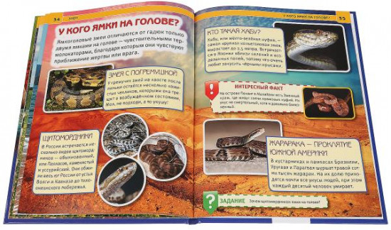 Змеи. Энциклопедия