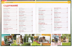 Кошки и котята. Энциклопедия - Фото 1