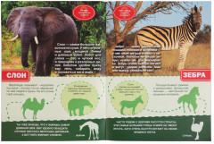 Дикие животные. Энциклопедия с наклейками - Фото 1