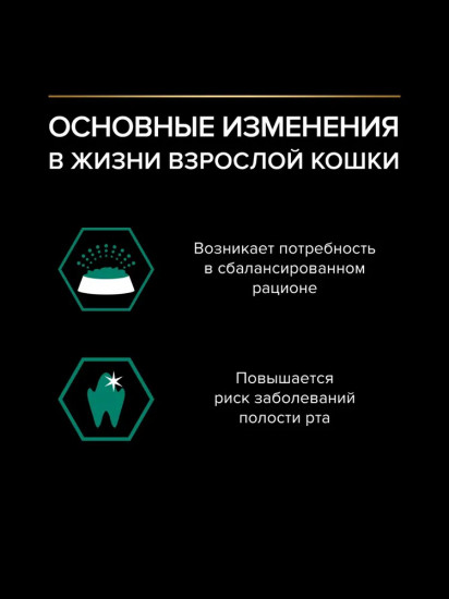 Корм влажный для взрослых кошек с говядиной в соусе