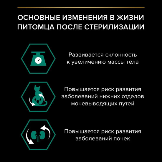 Корм влажный для взрослых кошек с курицей в соусе