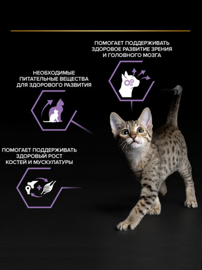Корм влажный для котят, беременных и кормящих кошек «Кусочки с лососем в соусе»