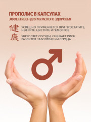 Капсулы с прополисом для иммунитета - Фото 4