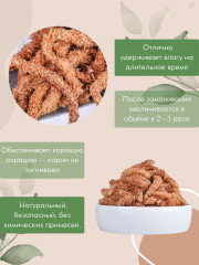 Мох чилийский - Фото 1