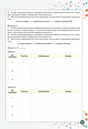 Лабораторный практикум. Химия. Естественно-математическое направление. 10 класс