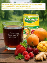 Чай фруктово-ягодный пакетированный «Variation Box Red Berries» - Фото 2