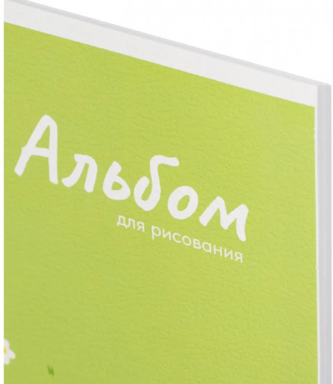 Альбом для рисования «Панда на лужайке»