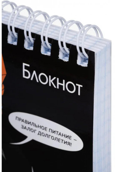 Блокнот «Кощей бессмертный»
