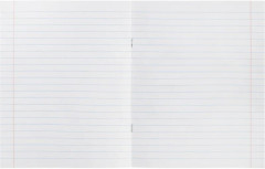 Набор тетрадей предметных - Фото 7