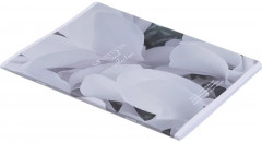 Тетрадь общая «Botanica» - Фото 3