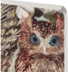 Тетрадь общая «Волшебные совы» - Фото 2