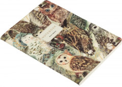 Тетрадь общая «Волшебные совы» - Фото 3