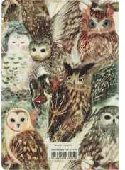 Тетрадь общая «Волшебные совы» - Фото 8