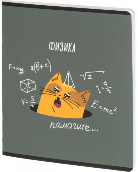 Тетрадь предметная «Котики»