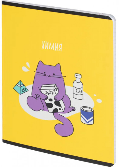 Тетрадь предметная «Котики»