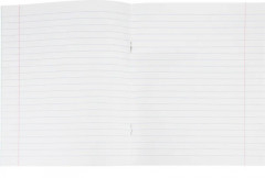 Комплект тетрадей школьных - Фото 7