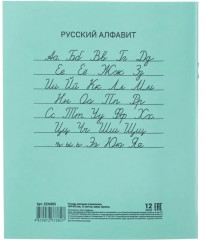 Комплект тетрадей школьных - Фото 1