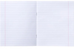 Комплект тетрадей школьных - Фото 8