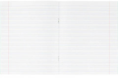 Комплект тетрадей школьных - Фото 5