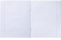 Комплект тетрадей школьных - Фото 8