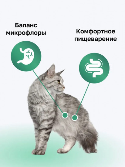 Корм для взрослых кошек с лососем для чувствительного пищеварения