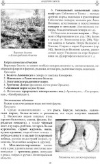 Забытые достопримечательности южного берега Финского залива. От Санкт-Петербурга до Кургальского полуострова - Фото 5