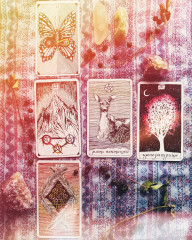 The Wild Unknown Tarot. Дикое Неизвестное Таро (78 карт и руководство в подарочном футляре) - Фото 3