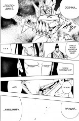 Король шаманов. Том 13 - Фото 13