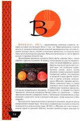 Культура питания Японии - Фото 10