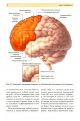 Нейропсихология в историях реальных больных - Фото 3