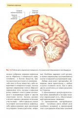 Нейропсихология в историях реальных больных - Фото 4