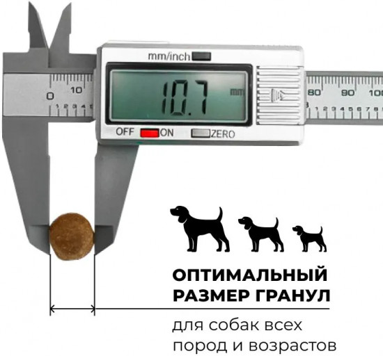 Корм сухой для собак всех возрастов «Ягненок с фруктами и овощами»
