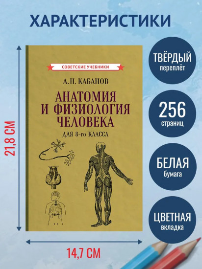 Учебник анатомии и физиологии человека для 8-го класса. 1954 год