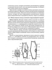 Учебник анатомии и физиологии человека для 8-го класса. 1954 год - Фото 17