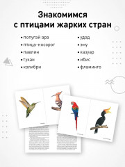 Птицы жарких стран - Фото 1