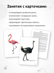 Птицы жарких стран - Фото 3