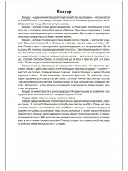 Птицы жарких стран - Фото 7