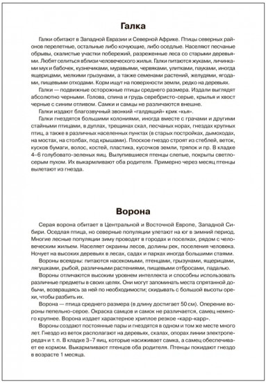 Птицы зимующие