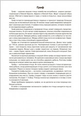 Птицы хищные - Фото 2