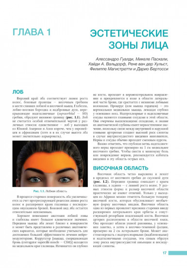 Анатомия лица в эстетической медицине