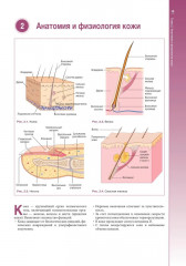 Наглядное пособие по лечению ран - Фото 9
