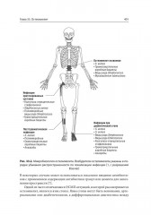 Доказательная скорая медицинская помощь: методы диагностики и правила принятия клинических решений - Фото 12